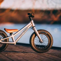 Early Rider, Charger 12, Kinderrad 2023 -Croozer Verkäufe 20200122 155242000 ios