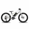 AMPERUM Ben-e-bike, Twenty E-Power 2023 / 20-Zoll Kinder E-Bike