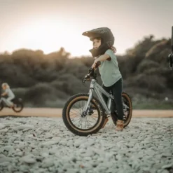 Early Rider, Hellion 16, MTB/Downhill Kinderrad 2023 -Croozer Verkäufe hellion16 gallery desktop2