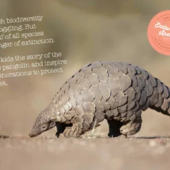 Wishbone Bike Limited Edition Pangolin – 3in1 Laufrad -Croozer Verkäufe wishbone pangolin info web